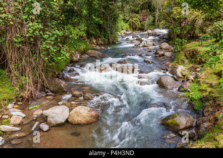 Rapide e correnti sul fiume Savegre al Savegre Mountain Lodge in Tamalanca Montagne della Costa Rica. Foto Stock