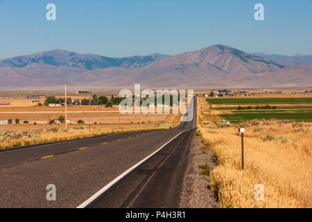 Idaho scenic highway 20 ad arco, Idaho. Coltivazione di patate e fieno agricoltura sono i pilastri di questa comunità. Foto Stock