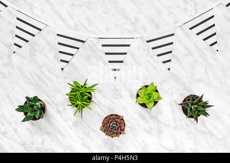 Le piante succulente e spogliato fiamme su sfondo marmo. Home moderno decor. Foto Stock