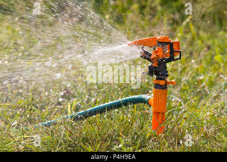 Giardino irroratore per innaffiare il prato o giardino Foto Stock