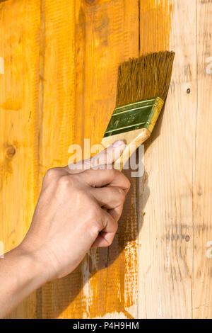 Processo di verniciatura del pannello di legno con il pennello e la vernice  di color turchese Foto stock - Alamy