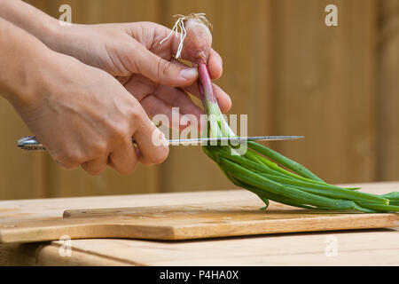 Mani con fresco di cipolla verde pronto per il taglio sul tagliere di legno Foto Stock