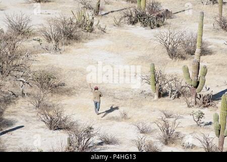 Pellicola originale titolo: DESIERTO. Titolo inglese: DESIERTO. Regista: JONAS CUARON. Anno: 2015. Credito: ESPERANTO KINO/ITACA FILM/CG CINEMA / Album Foto Stock