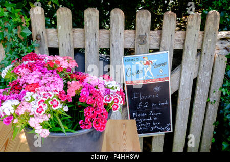 Intorno al villaggio di wiltshire di Lacock vicino a Chippenham Wiltshire, Inghilterra Regno Unito fiori per la vendita Foto Stock