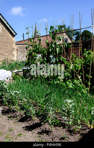 Intorno al villaggio di wiltshire di Lacock vicino a Chippenham Wiltshire, Inghilterra uk Garden cottage Foto Stock