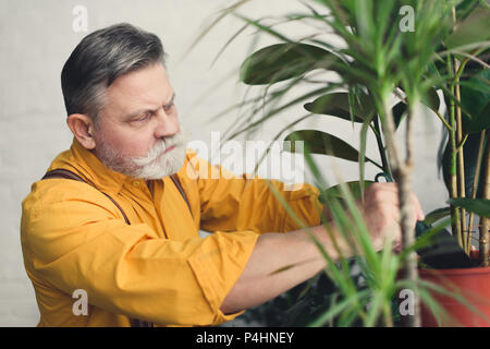 Grave uomo senior piantare piante verdi a casa Foto Stock