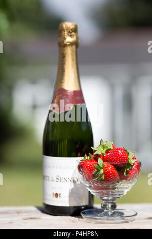 Primo piano di un piatto di fragole fresche e una bottiglia di champagne non aperta all'aperto in un giardino inglese sotto il sole estivo. Foto Stock