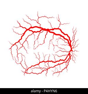 Occhio del sistema vascolare x ray angiografia design vettore isolato su bianco Illustrazione Vettoriale