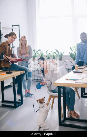 Sorridente imprenditrice giocando con jack russel terrier al guinzaglio e colleghi in piedi dietro in ufficio moderno Foto Stock