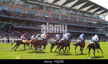 Una vista generale dei corridori e piloti in azione nel Queens vaso gara durante il giorno due di Royal Ascot a Ascot Racecourse. Foto Stock