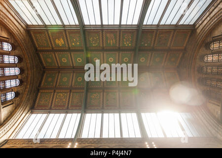 All'interno del Museo di Storia Naturale Foto Stock