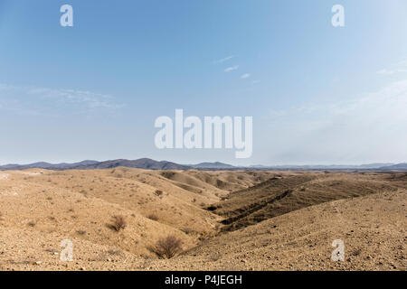 Paesaggio africano, Deserto Kalahari, Namibia Foto Stock