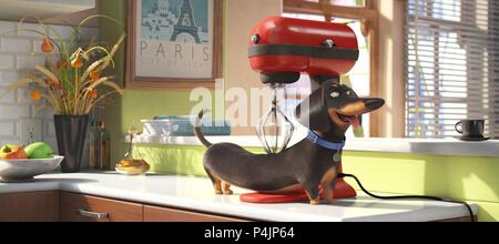 Pellicola originale titolo: La vita segreta di animali domestici. Titolo italiano: La vita segreta di animali domestici. Regista: CHRIS RENAUD; YARROW CHENEY. Anno: 2016. Credit: ILLUMINAZIONE ENTERTAINMENT/Universal Pictures / Album Foto Stock