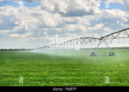 Macchina di irrigazione irrigazione campo agricolo con giovani germogli di soia, piante verdi sul terreno nero e bellissimo cielo Foto Stock