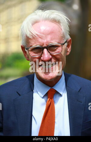 Norman Lamb politico liberaldemocratico britannico raffigurato a Westminster, Londra, Regno Unito il 20 giugno 2018. Politici britannici. MPS. Cerca nella pagina del portfolio Russell Moore le immagini più autentiche. Foto Stock