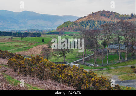 Paesaggio di campagna presso un allevamento di pecore in Lake District of England, Regno Unito Foto Stock