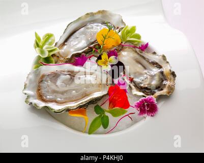Una piastra di tre ostriche sul semiguscio guarnita con fiori commestibili Foto Stock