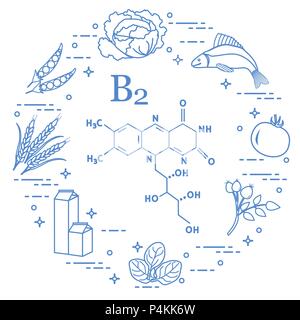 Gli alimenti ricchi di vitamina B2. Cavolo, pesce, pomodoro, rosa canina, spinaci, latte, frumento, piselli. Illustrazione Vettoriale