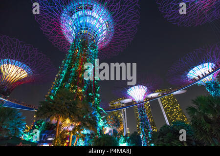 Singapore - Aprile 29, 2018: Supertree Grove durante il giardino a Rhapsody giardini dall'alloggiamento. Spettacolo di luci è popolare attrazione turistica in central Singapore, area di Marina Bay. Scena notturna. Vista dal basso. Foto Stock