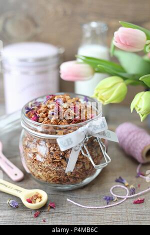 Muesli fatti in casa con noce di cocco, girasole e semi di zucca in un vaso Foto Stock
