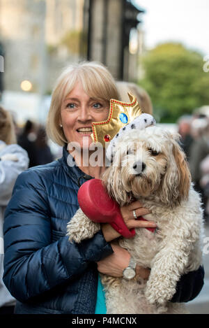 Una donna può contenere fino il suo cane nella parte anteriore del Castello di Windsor la notte prima del Royal Wedding di S.A.R. il principe Harry e la Sig.ra Meghan Markle. Il cane è indossare una corona decorativa. Foto Stock