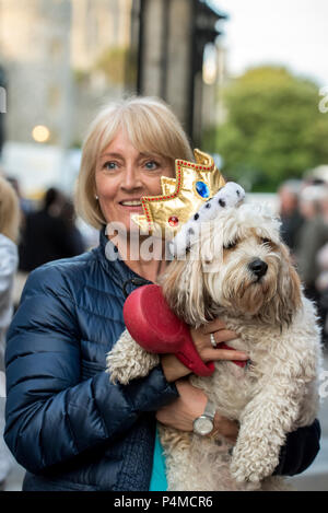 Una donna può contenere fino il suo cane nella parte anteriore del Castello di Windsor la notte prima del Royal Wedding di S.A.R. il principe Harry e la Sig.ra Meghan Markle. Il cane è indossare una corona decorativa. Foto Stock