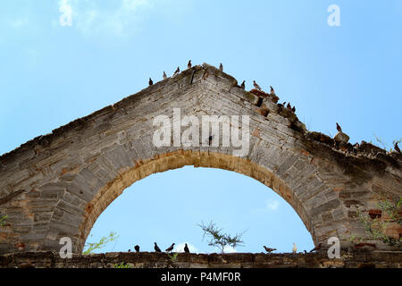 Vecchia chiesa tedesca. Foto. L'Ucraina Foto Stock