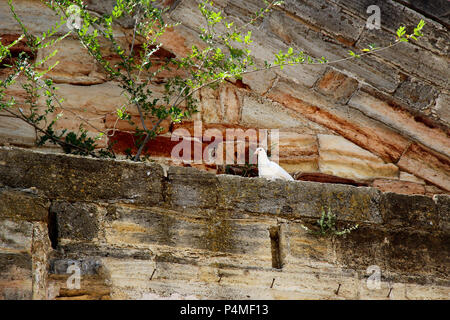 Vecchia chiesa tedesca. Foto. L'Ucraina Foto Stock