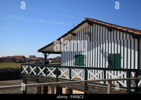 Oyster cultura nel villaggio di Piraillan, Bassin d'Arcachon, Gironde, Francia Foto Stock