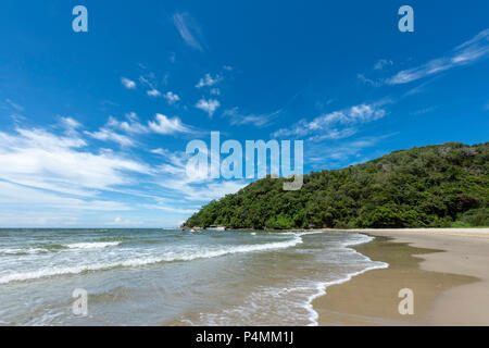 Onde del mare della Cina del Sud pausa sulla spiaggia in Kota Kinabalu, Borneo Malaysia Foto Stock