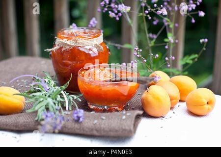 La marmellata di albicocca fatta in casa con fresche Albicocche e lavanda Foto Stock