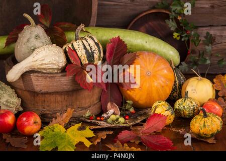 Autunno Still Life con zucche, zucche e mais Foto Stock