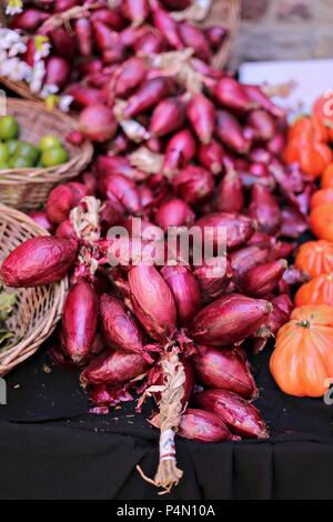 Una treccia di cipolle rosse da Tropea su un piedistallo di mercato Foto Stock