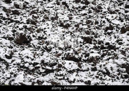 La consistenza del terreno, ricoperta con un sottile strato di neve. Il terreno del giardino d'inverno. Il terreno scavato da vicino . Foto Stock