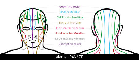Meridiani della testa con punti di agopuntura - anteriore e la vista posteriore. Medicina Tradizionale Cinese - illustrazione su bianco backg Foto Stock
