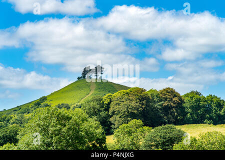 Colmers collina vicino Symondsbury, Dorset, Regno Unito Foto Stock