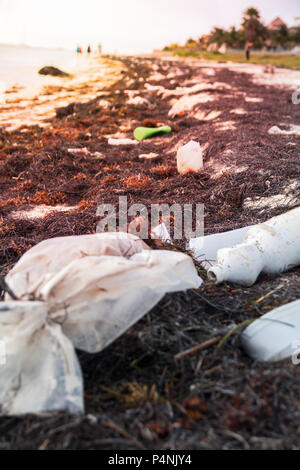 Le bottiglie di plastica inquinamento e alghe marine sulla sabbiosa spiaggia dei Caraibi Foto Stock