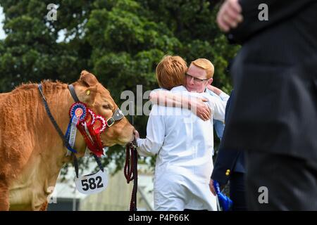 Edimburgo, Regno Unito, 23rd giugno 2018. Royal Highland Show, Edimburgo, Scozia: 23 giugno 2018: Festeggiamenti come Niaomi, un giovenca Limousin di Grahams Dairy è reso campione interbreed il terzo giorno del Royal Highland Show, Edinburgh Credit: Kay Roxby/Alamy Live News Foto Stock