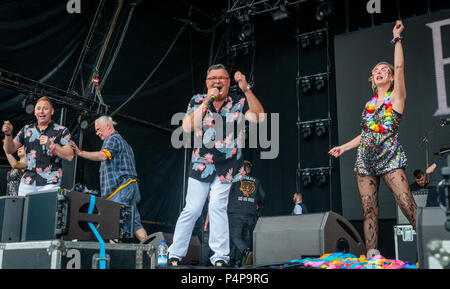 Edinburgh, Regno Unito. Il 23 giugno 2018. Pizzo nero a consente di Rock Scozia dalkieth Country Park : Photo credit Martin osso (Scozia) Credito: Martin osso/Alamy Live News Foto Stock