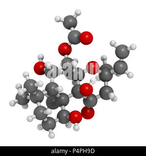 Il Forskolin (coleonol molecola). Attiva l'enzima adenil ciclasi, risultante in un aumento dei livelli di cAMP. Il rendering 3D. Gli atomi sono rappresentati come sp Foto Stock