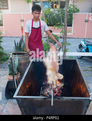 L'uomo la tostatura maialino allo spiedo in Hua Hin, Thailandia. Foto Stock