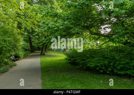 Parco all'ingresso alla città di kampen con il percorso ed i suoi alberi frondosi e le loro ombre nel parco che circonda la città di kampen. Paesi Bassi Olanda Foto Stock