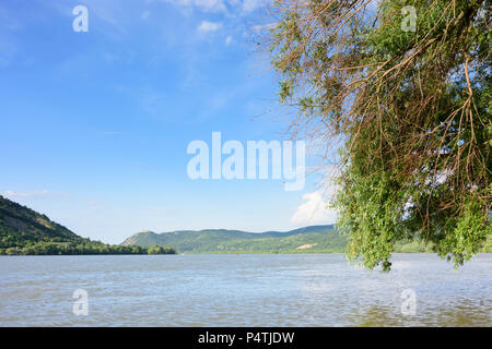 Visegrad (Plintenburg): fiume Danubio in Ungheria, Pest, Ansa del Danubio (Dunakanyar) Foto Stock