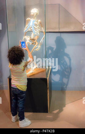 Una giovane ragazza prende una foto del Turkana Boy, uno scheletro creduto per essere circa un milione e mezzo di anni, al Museo Nazionale dell'Etiopia. Foto Stock