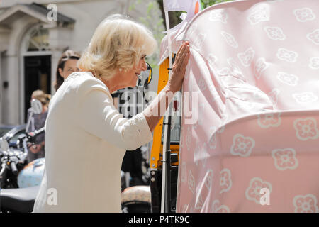 Di SUA ALTEZZA REALE IL PRINCIPE DI GALLES la duchessa di Cornovaglia, Presidente comune della famiglia di elefante, lancia ufficialmente il Concours d'éléphant Foto Stock