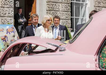 Di SUA ALTEZZA REALE IL PRINCIPE DI GALLES la duchessa di Cornovaglia, Presidente comune della famiglia di elefante, lancia ufficialmente il Concours d'éléphant Foto Stock