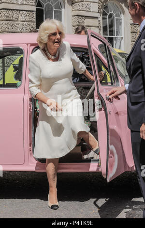 Di SUA ALTEZZA REALE IL PRINCIPE DI GALLES la duchessa di Cornovaglia, Presidente comune della famiglia di elefante, lancia ufficialmente il Concours d'éléphant Foto Stock