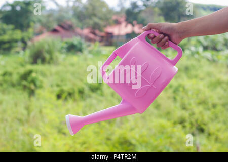 Mano azienda rosa annaffiatoio. Come una colata di acqua sul verde della natura Foto Stock