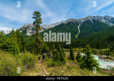 Il Parco Nazionale di Banff, Alberta. Maggio 27, 2018. Un escursionista a piedi lungo un percorso verso l'inchiostro pentole nel Parco Nazionale di Banff, Canada Foto Stock