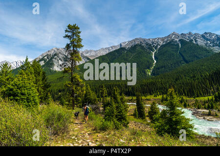 Il Parco Nazionale di Banff, Alberta. Maggio 27, 2018. Un escursionista a piedi lungo un percorso verso l'inchiostro pentole nel Parco Nazionale di Banff, Canada Foto Stock